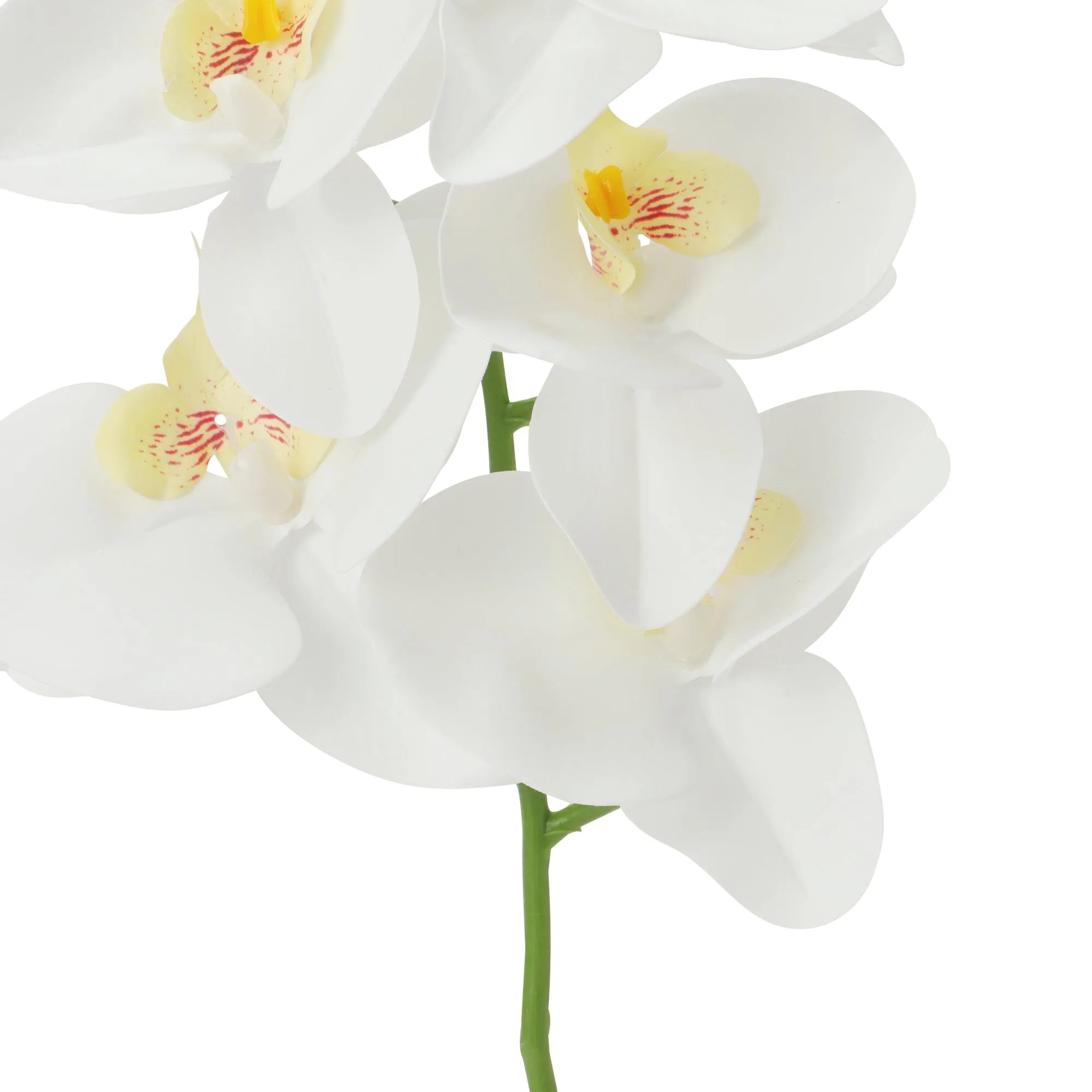 Art Flower Real Touch Phalaenopsis White