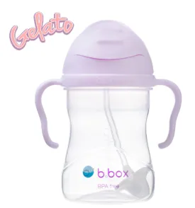 B.Box Sippy Cup - Boysenberry